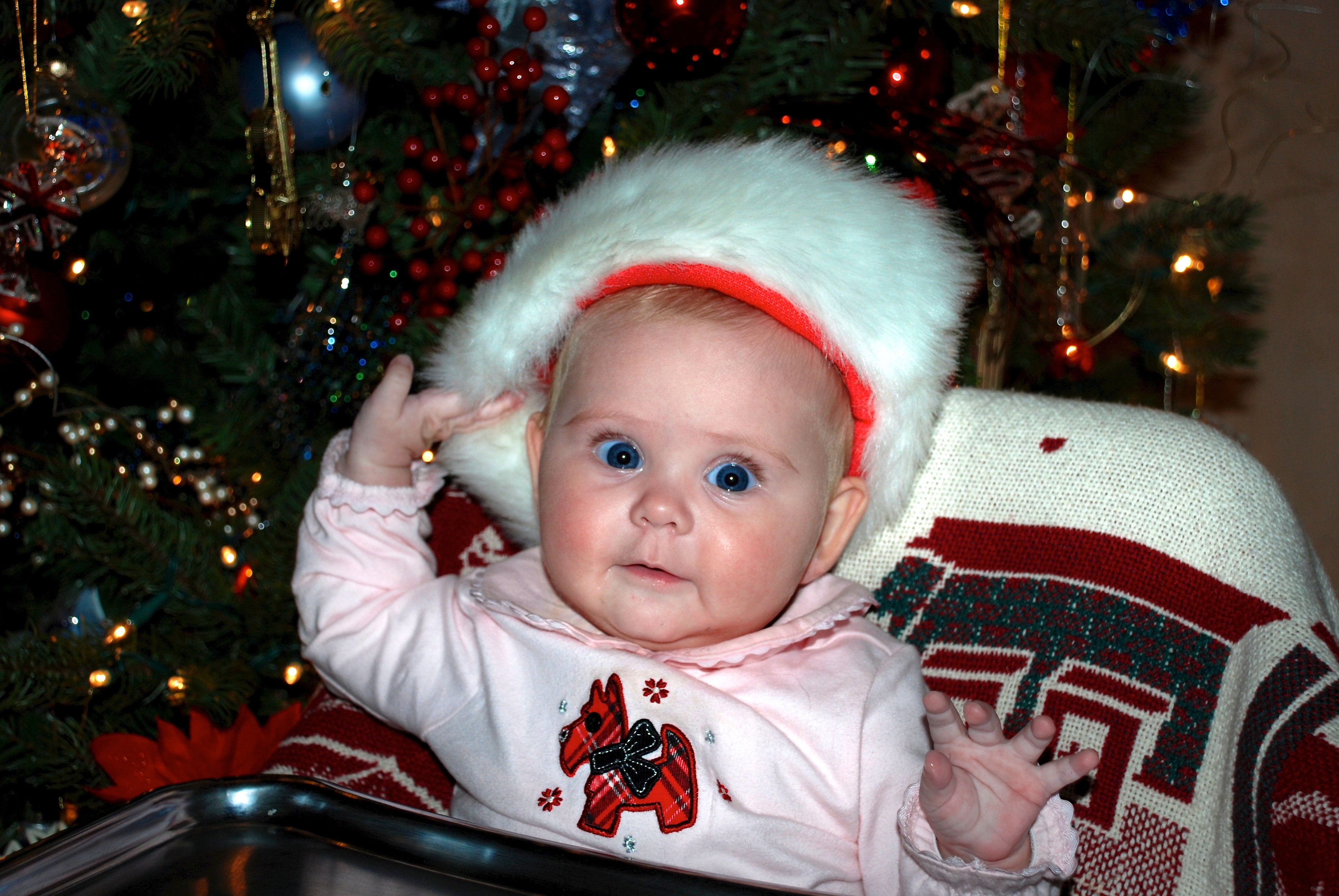 2008-11-28-09 Sydney early Christmas at Grandmas.jpg